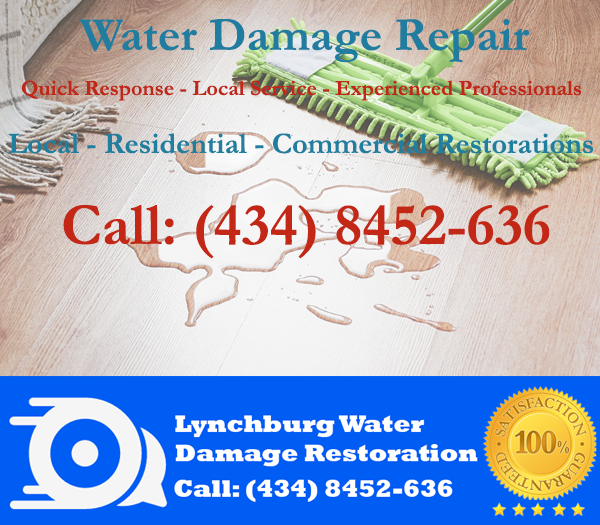 Residential and Commercial Cleanup Services in Virginia